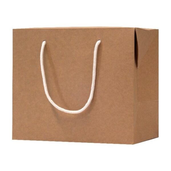 Big Size Personalised Takeaway Bags